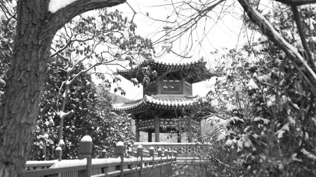 點(diǎn)擊放大