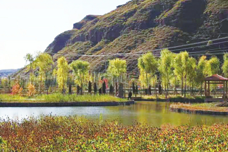 點(diǎn)擊放大